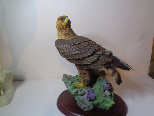 Border Fine Arts Golden Eagle Style Two A0658