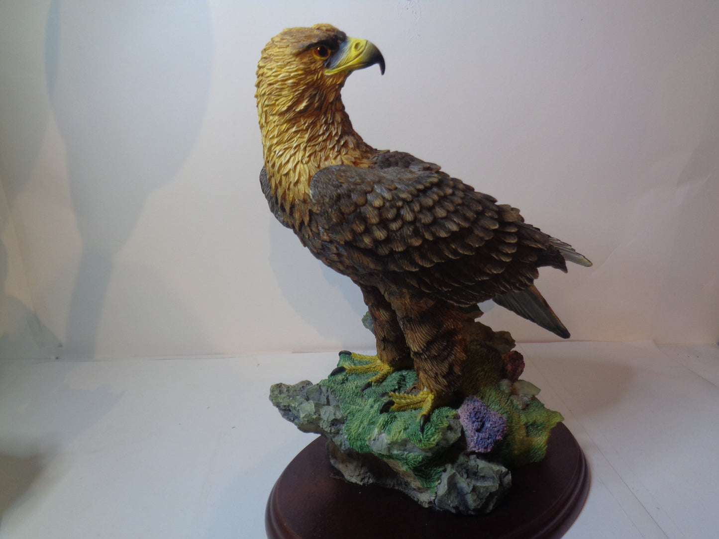 Border Fine Arts Golden Eagle Style Two A0658