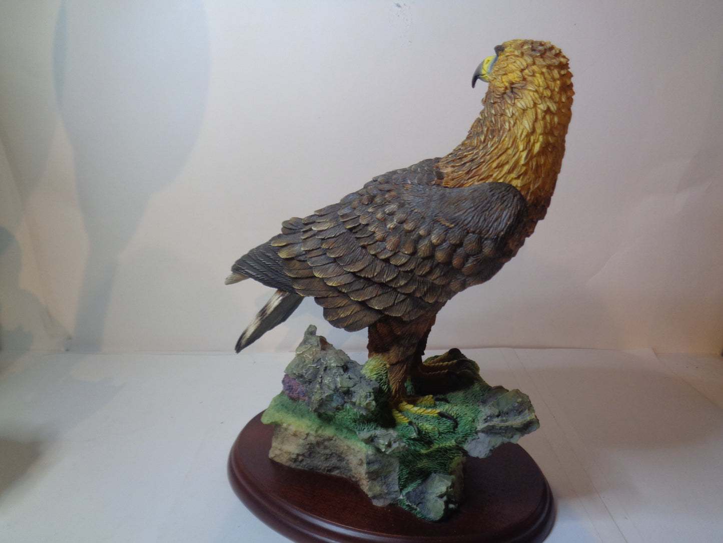 Border Fine Arts Golden Eagle Style Two A0658