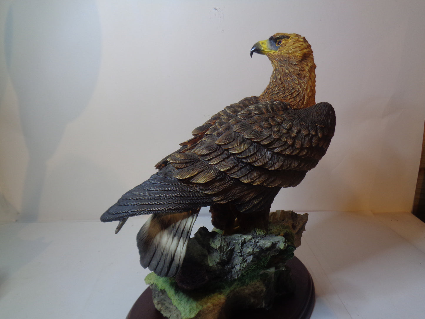 Border Fine Arts Golden Eagle Style Two A0658