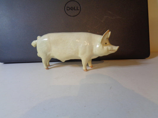 Beswick Pig Boar Ch "WALL CHAMPION BOY 53rd" No 1453A