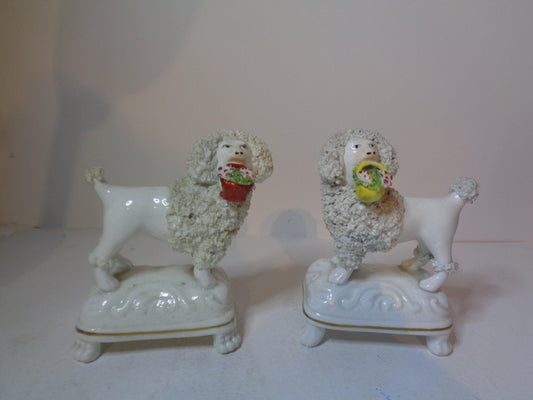 Staffordshire Porcelain Poodles, with Baskets of flowers. 1870's