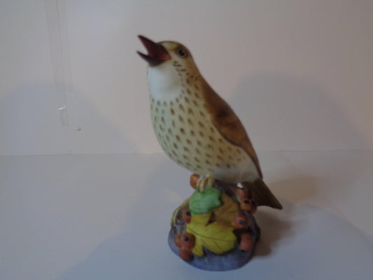 Thrush by Royal Worcester, England