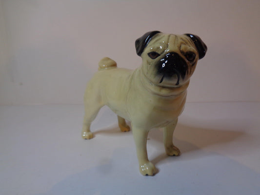 Beswick Pug " Cutmil Cutie " Large no 1997 by Arthur Gredington