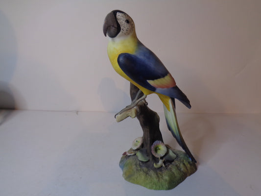 Royal Crown Derby Macaw