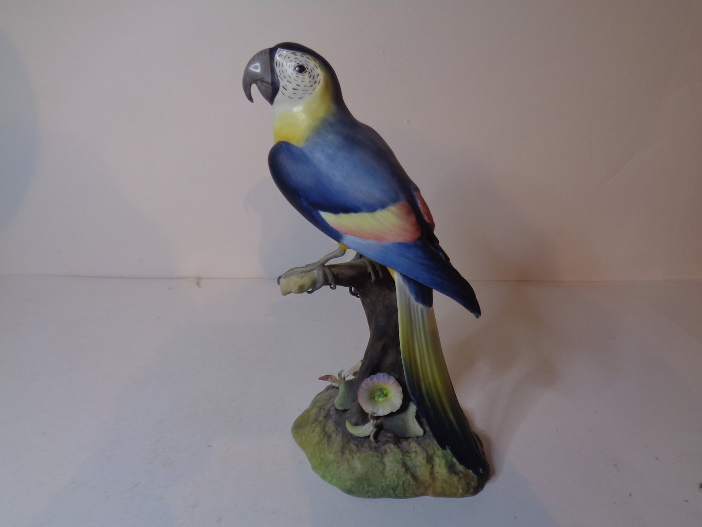 Royal Crown Derby Macaw