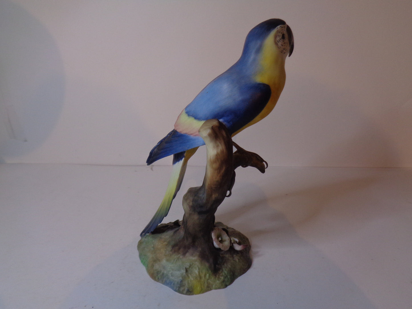 Royal Crown Derby Macaw