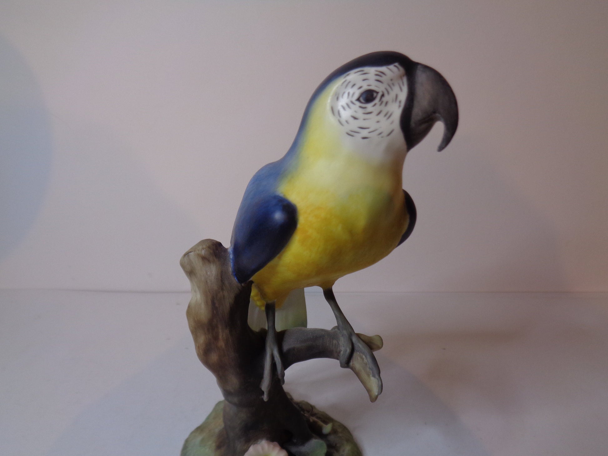 Royal Crown Derby Macaw