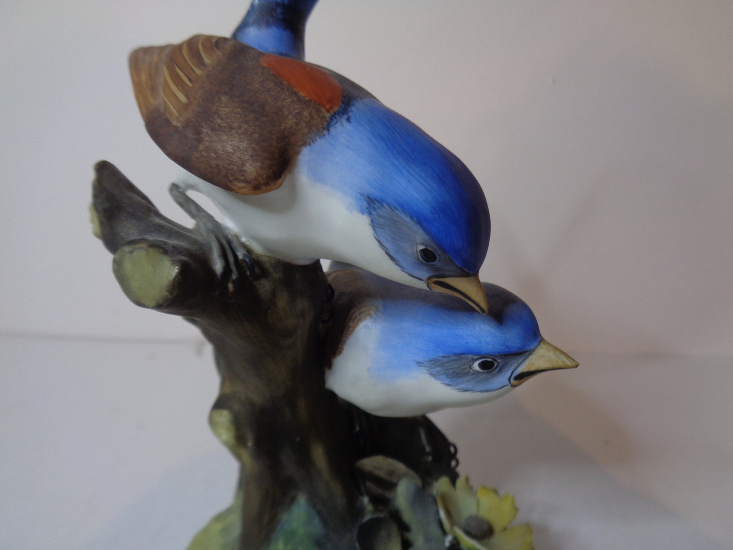 Royal Crown Derby Fairy Wrens