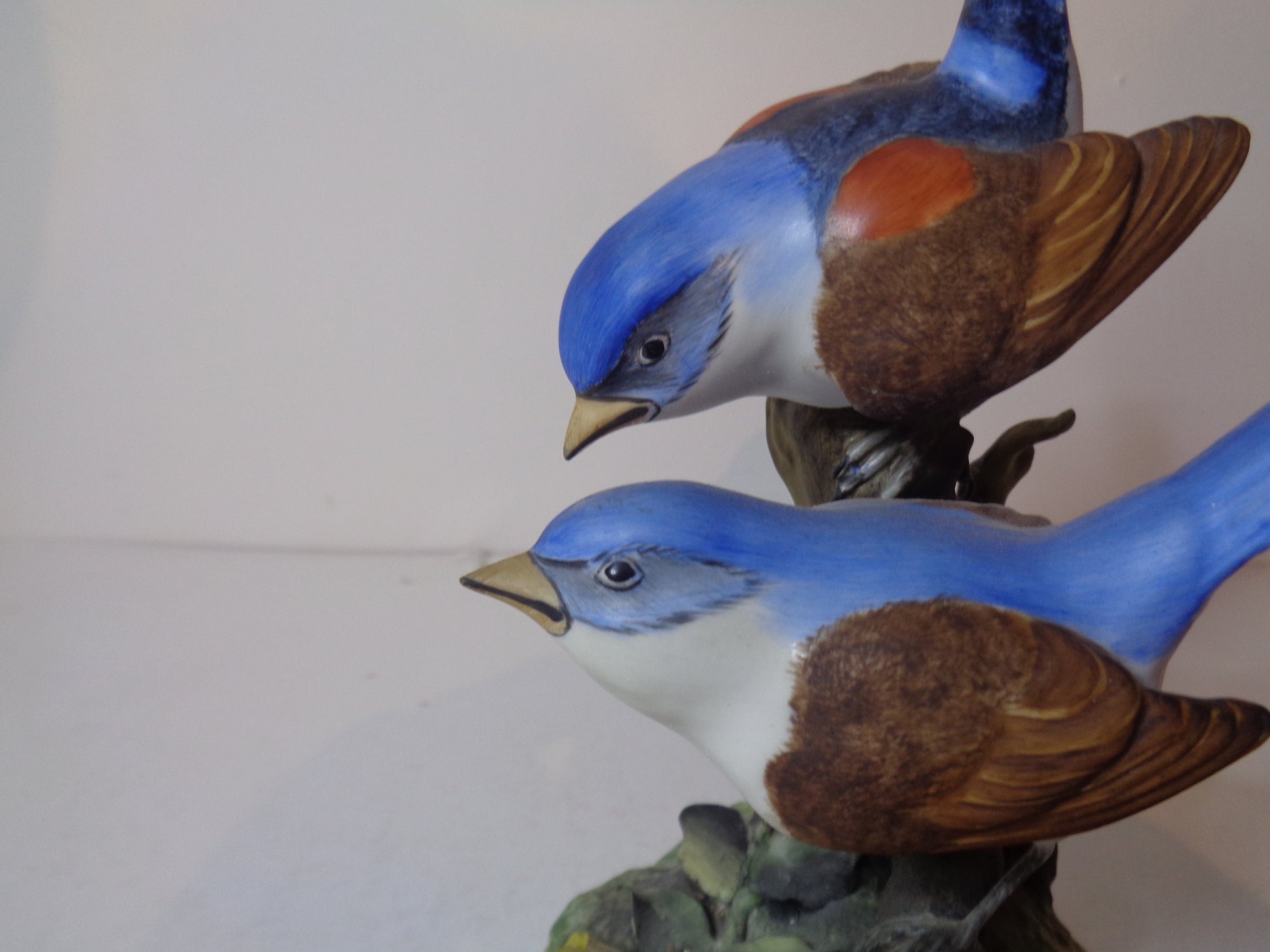 Royal Crown Derby Fairy Wrens