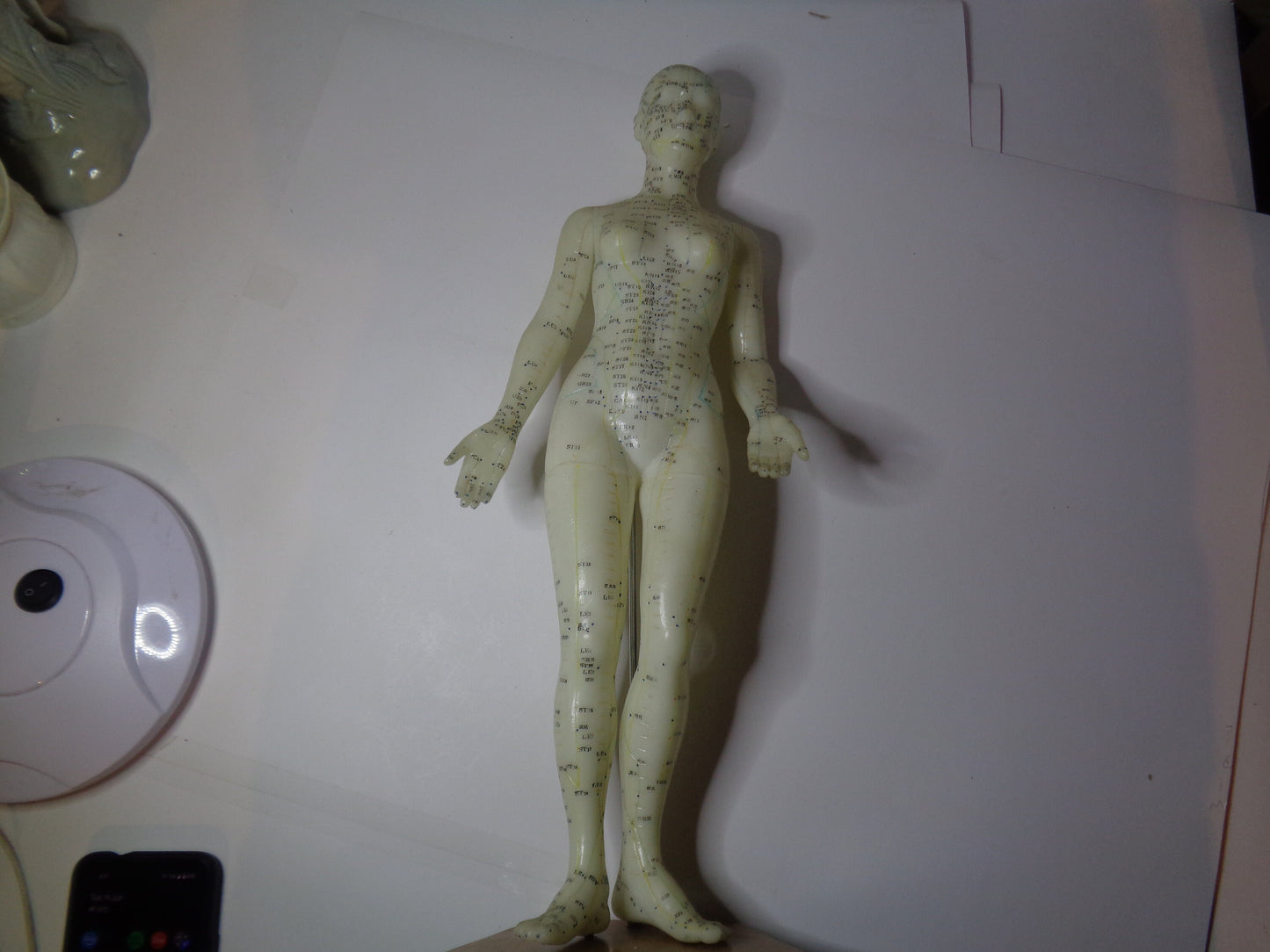 Accupuncture Anatomical Figure