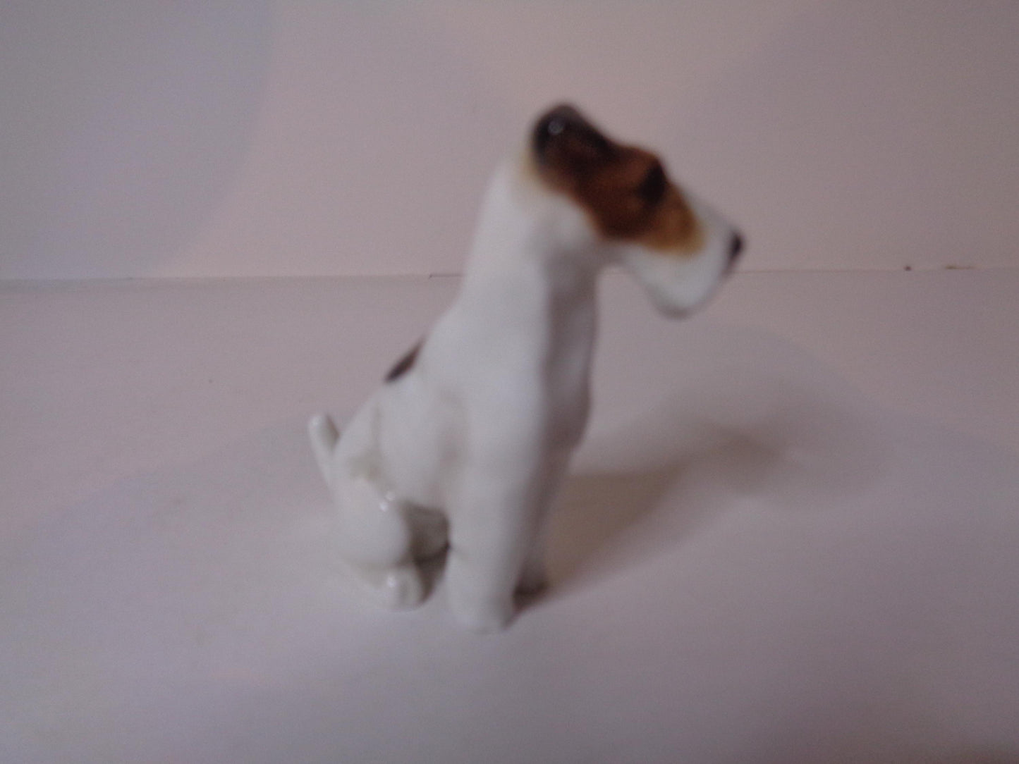 Royal Doulton Miniature Fox Terrier Seated K8