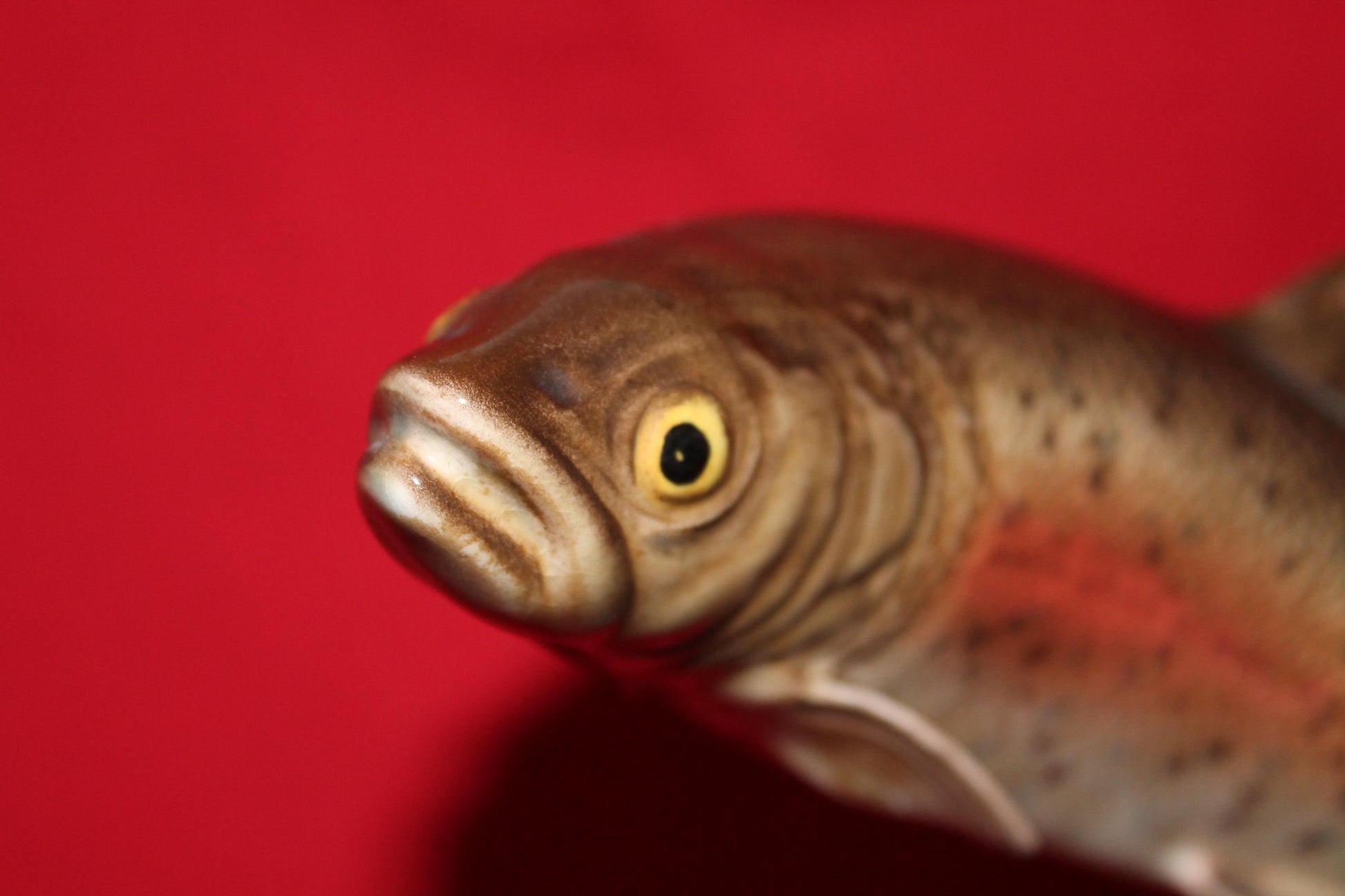 Beswick Trout No. 1032