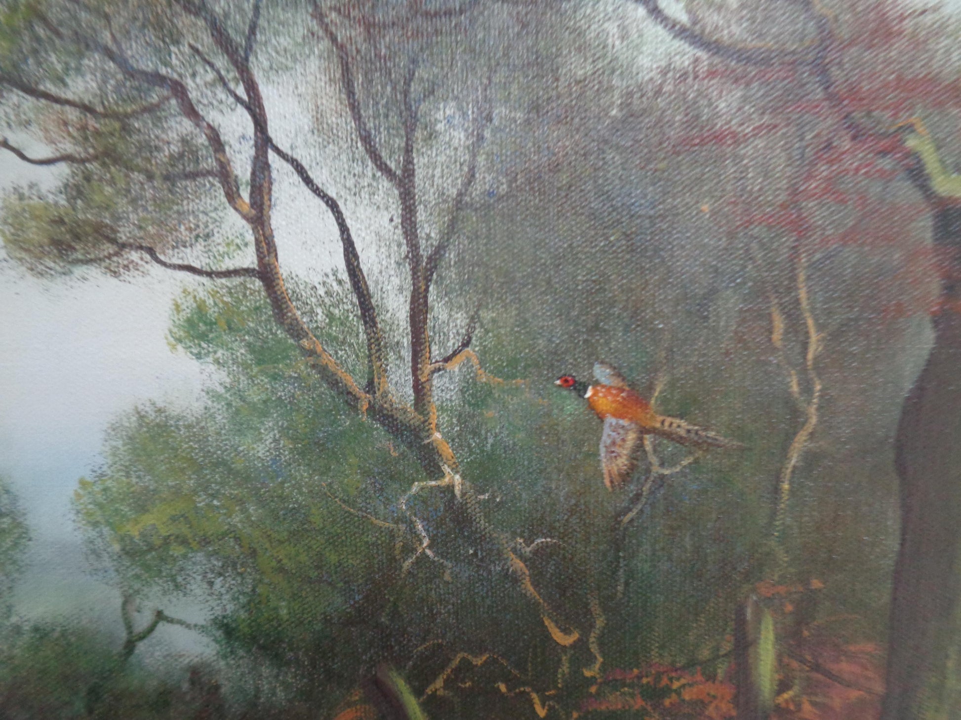 Original Oil on Canvas "Pheasants in Woodland" indistinctly signed