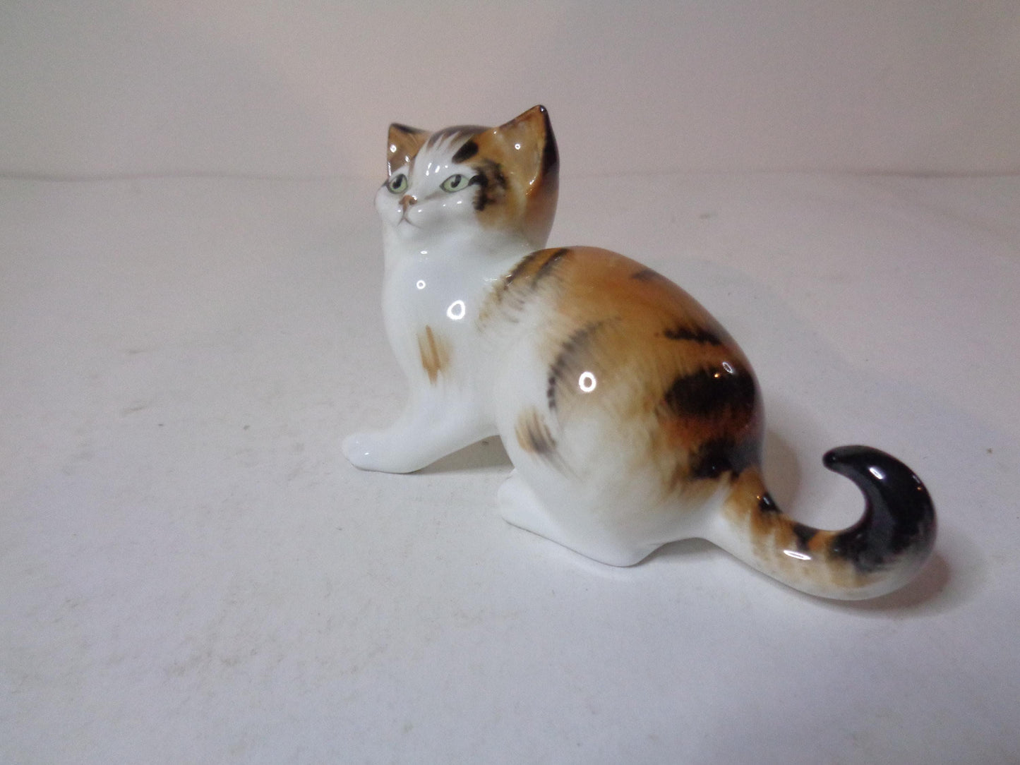 Royal Doulton Calico Kitten Looking Up HN 2584 Miniature