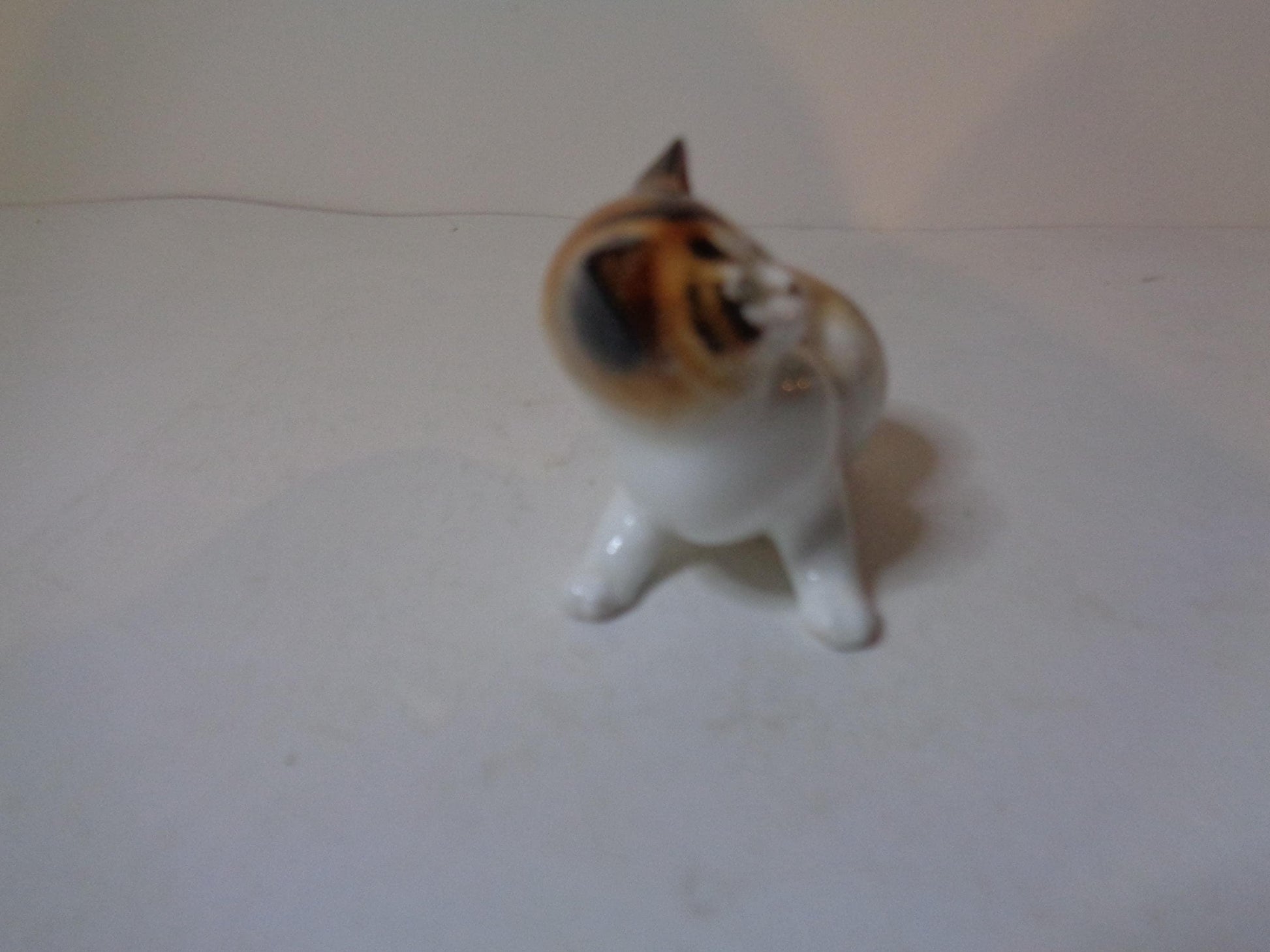 Royal Doulton Calico Kitten Looking Up HN 2584 Miniature