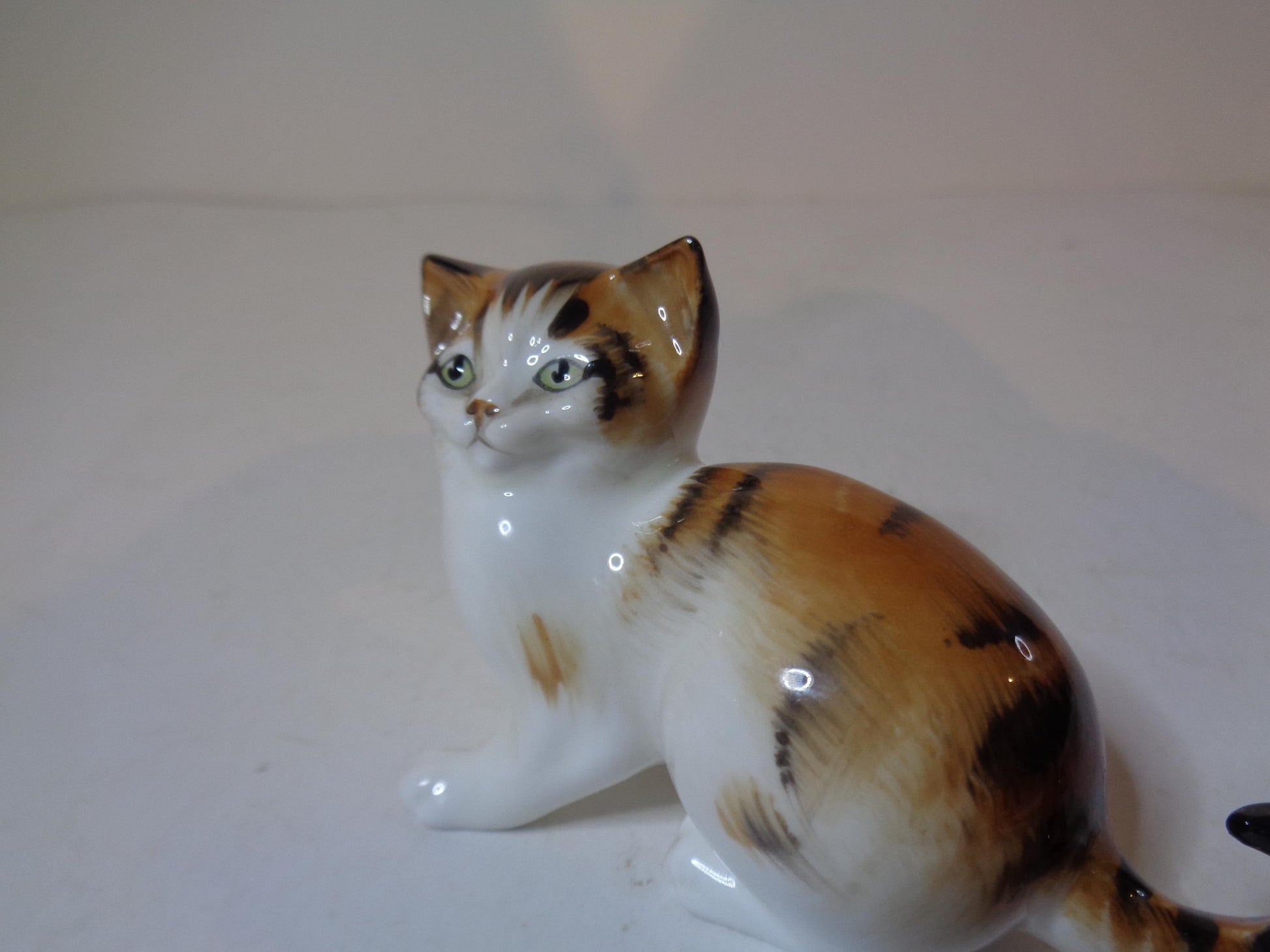 Royal Doulton Calico Kitten Looking Up HN 2584 Miniature