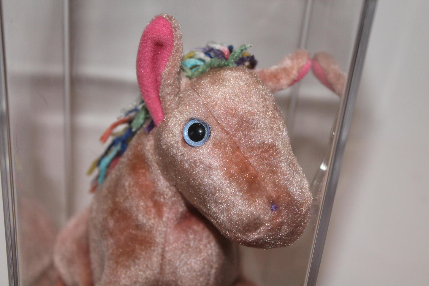 Ty Horse™ Beanie baby in storage box