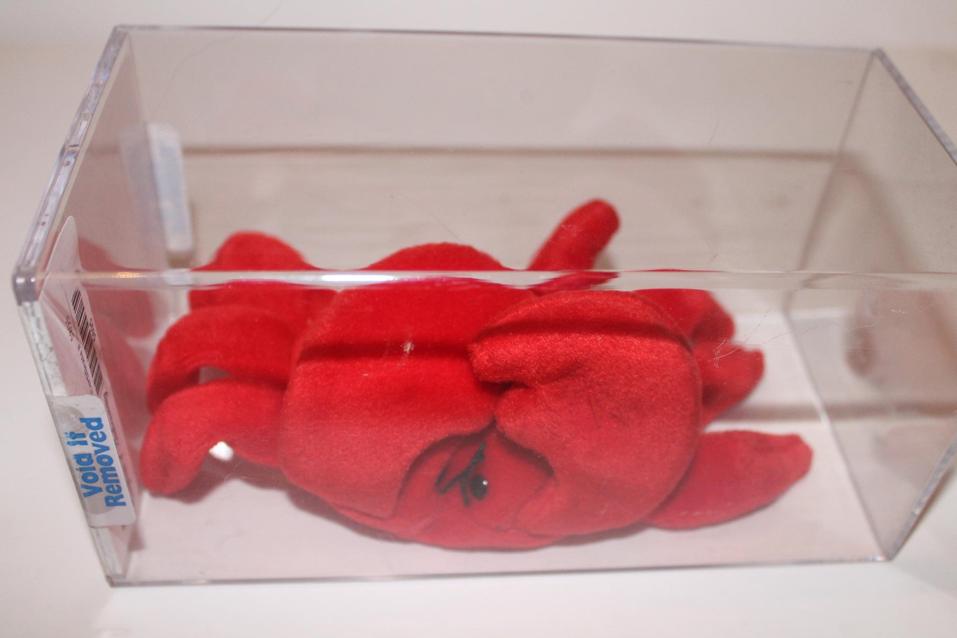 Ty Digger™ Beanie baby in storage box