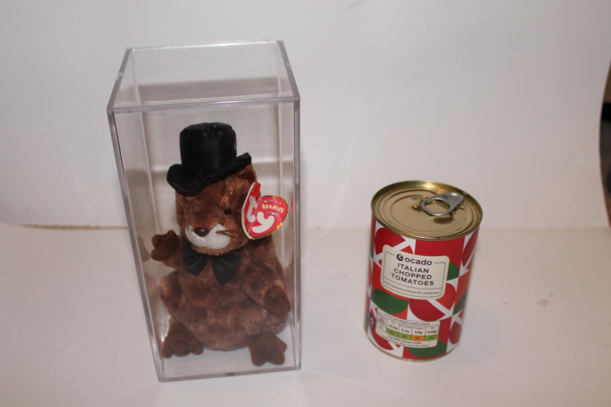 Ty Punxsutawney Phil 2004™ Beanie baby in storage box