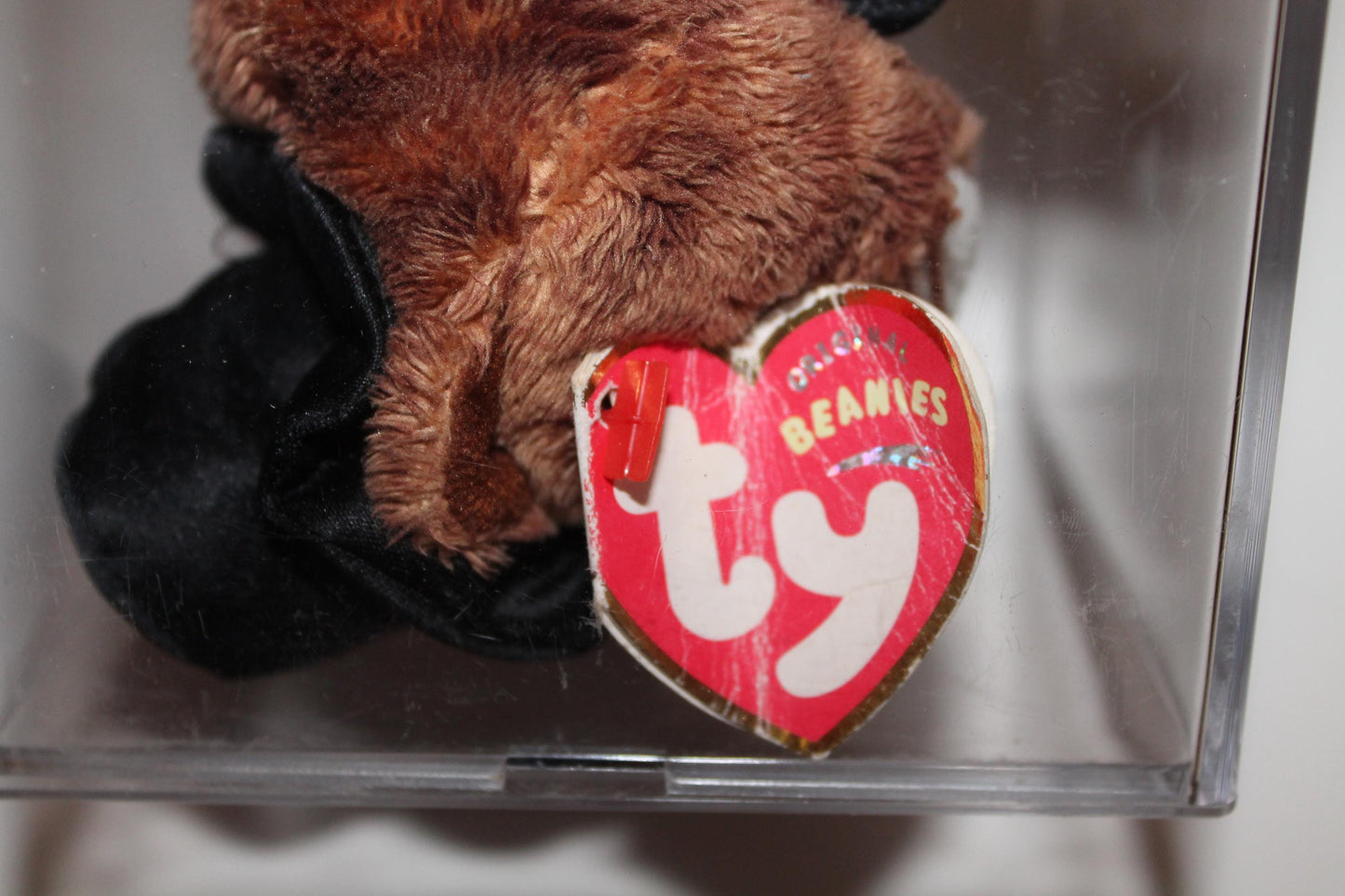 Ty Punxsutawney Phil 2004™ Beanie baby in storage box