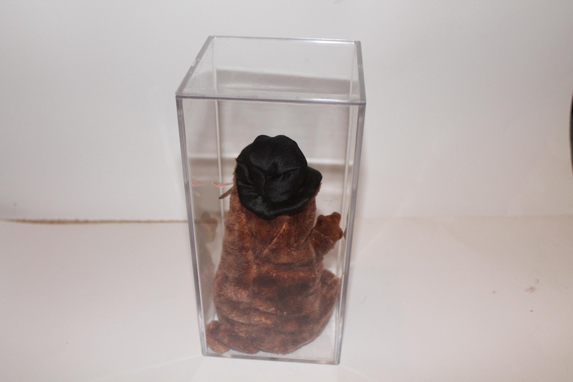 Ty Punxsutawney Phil 2004™ Beanie baby in storage box