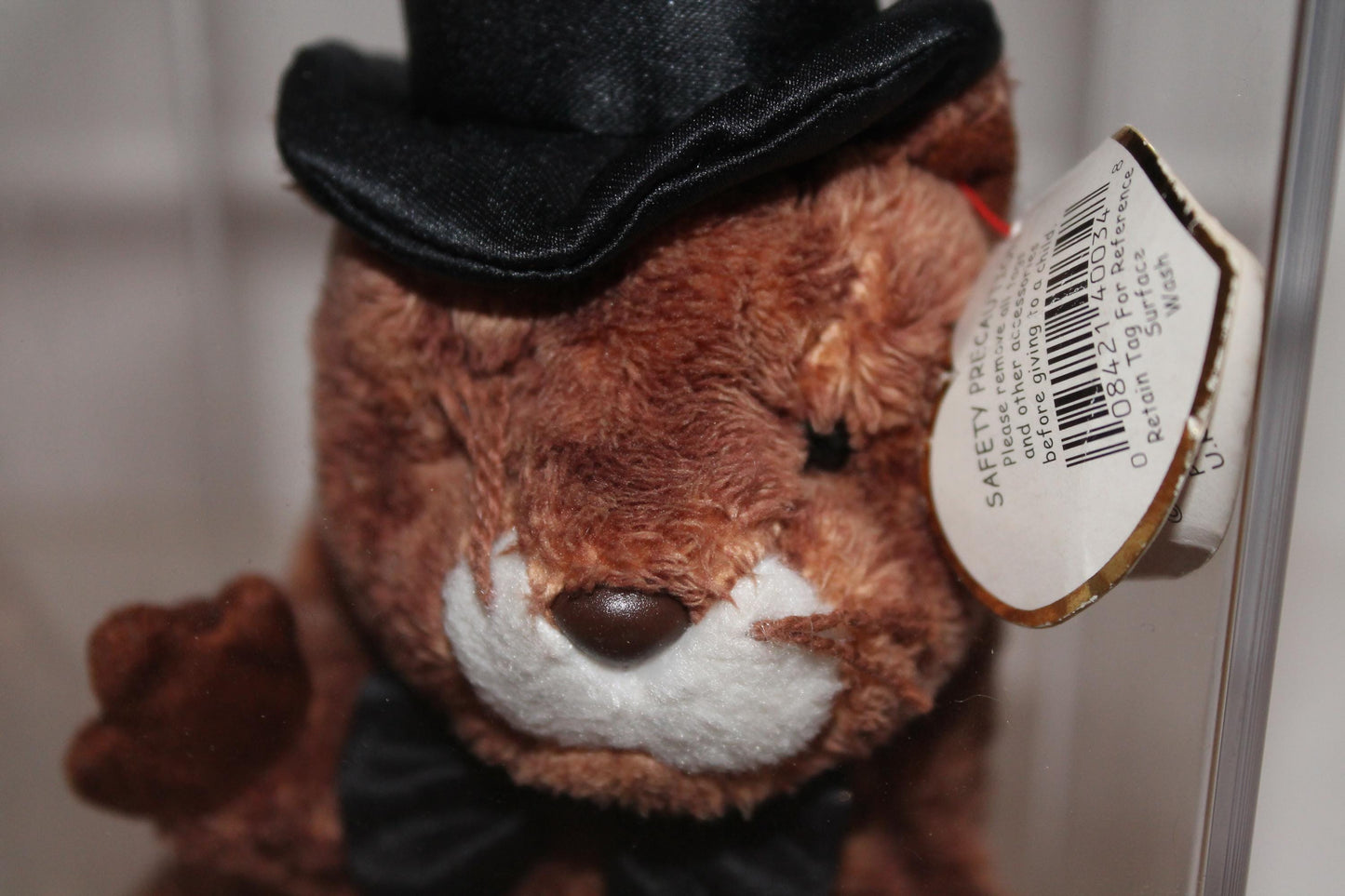 Ty Punxsutawney Phil 2004™ Beanie baby in storage box