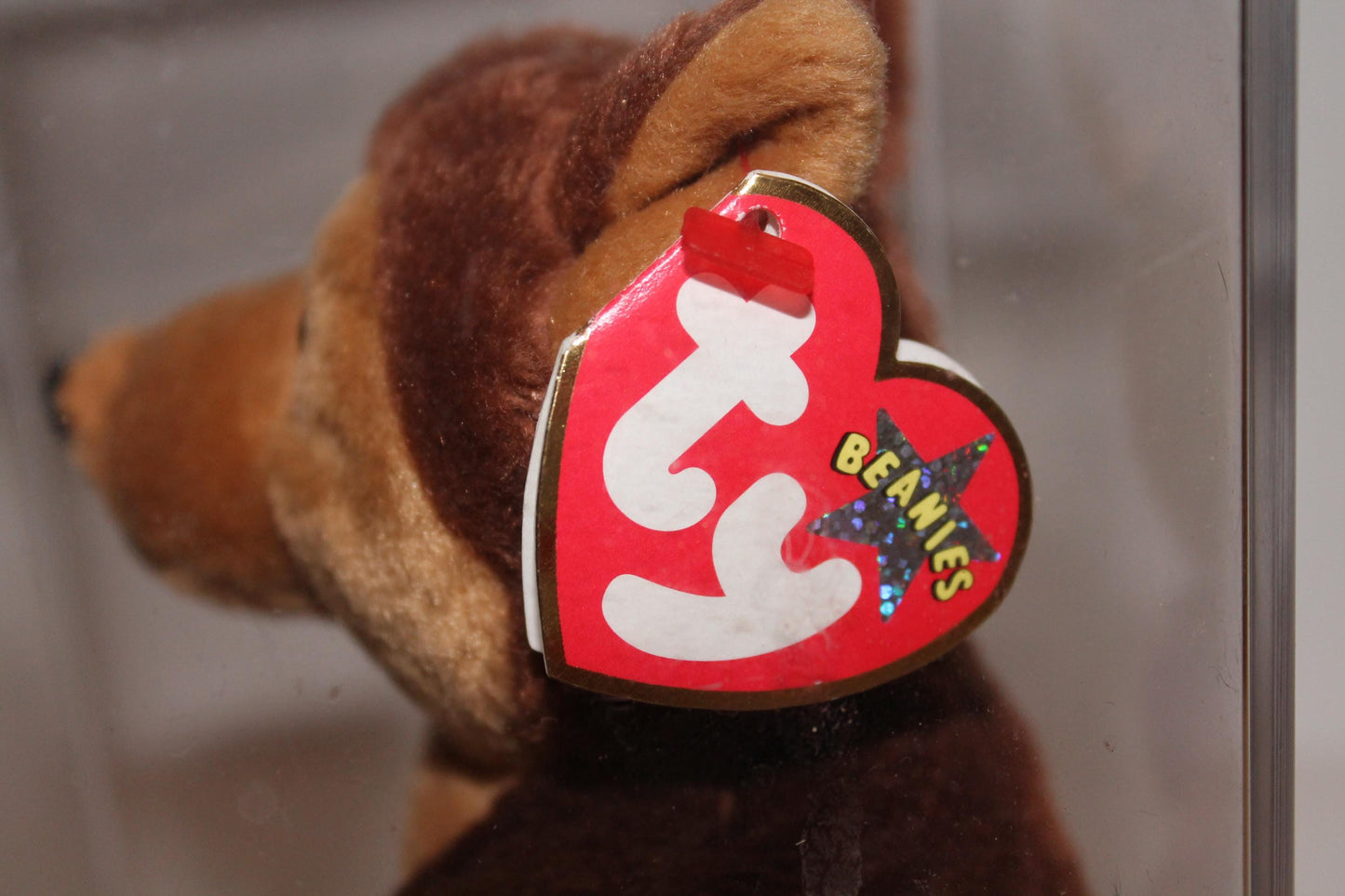 Ty Courage™ Beanie baby in storage box