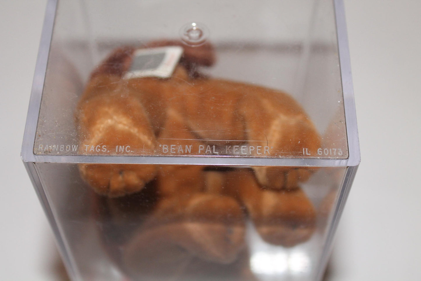 Ty Courage™ Beanie baby in storage box