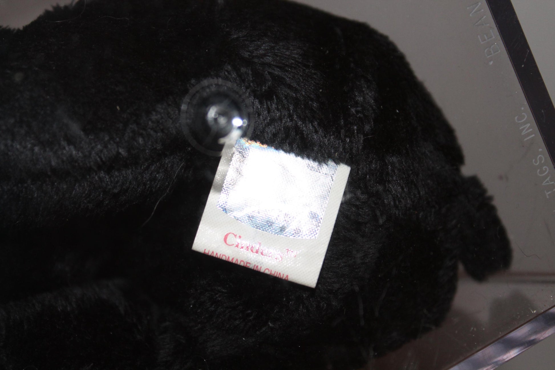 Ty Cinders™ Beanie baby in storage box