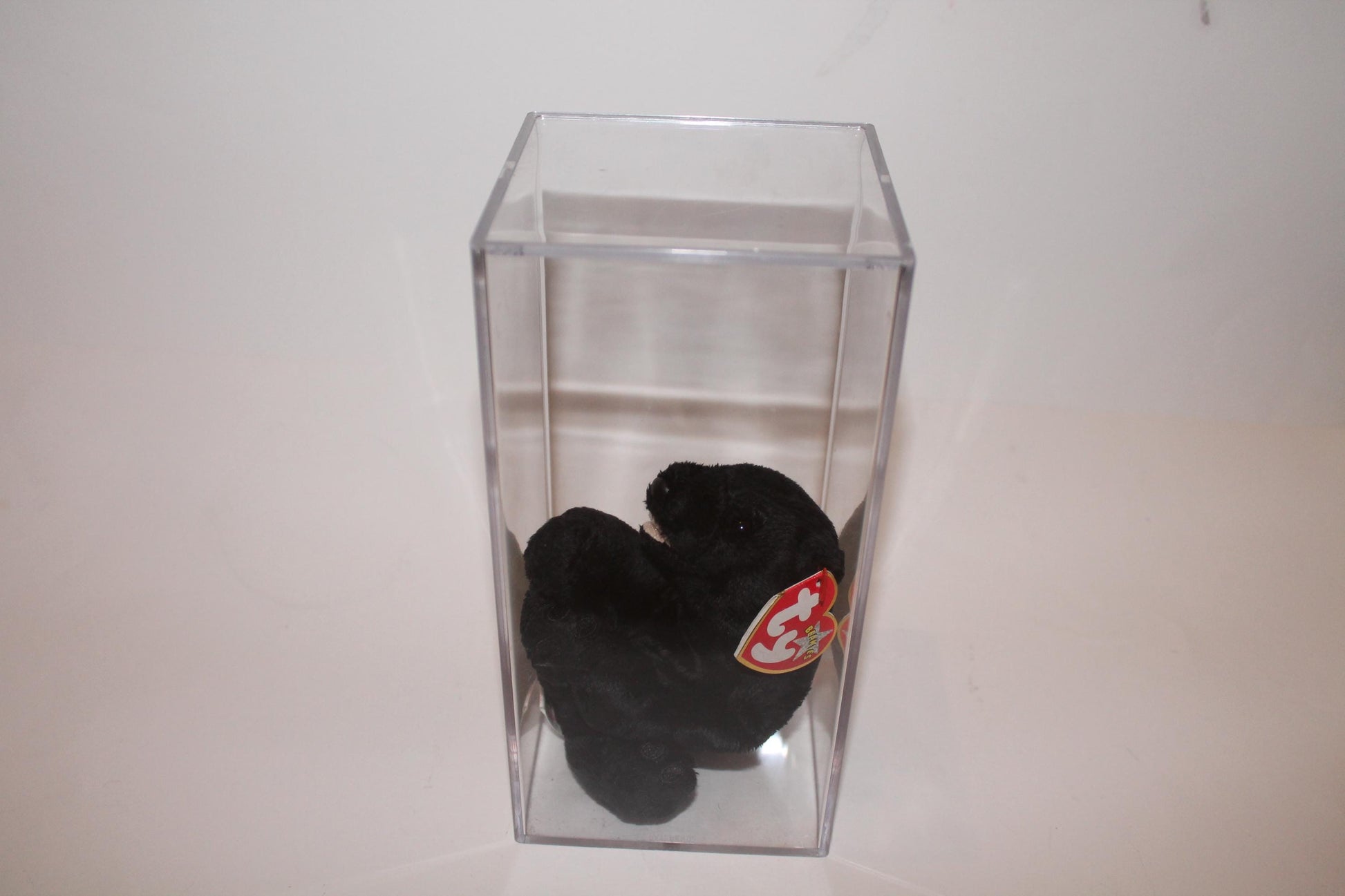 Ty Cinders™ Beanie baby in storage box