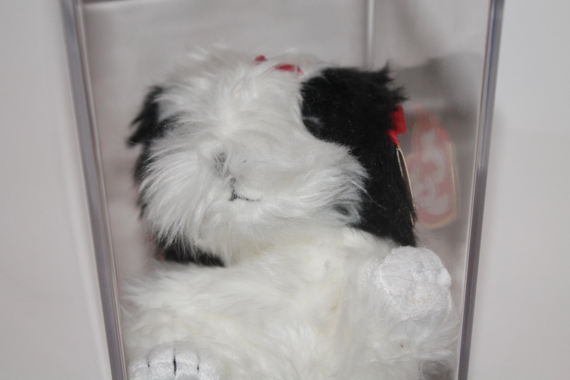 Ty Poofie™ Beanie baby in storage box