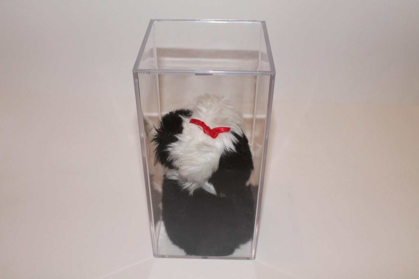 Ty Poofie™ Beanie baby in storage box