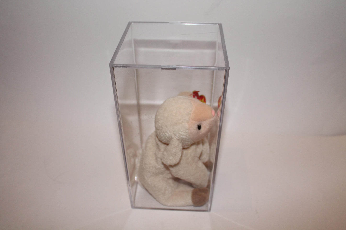 Ty Ewey™ Beanie baby in storage box