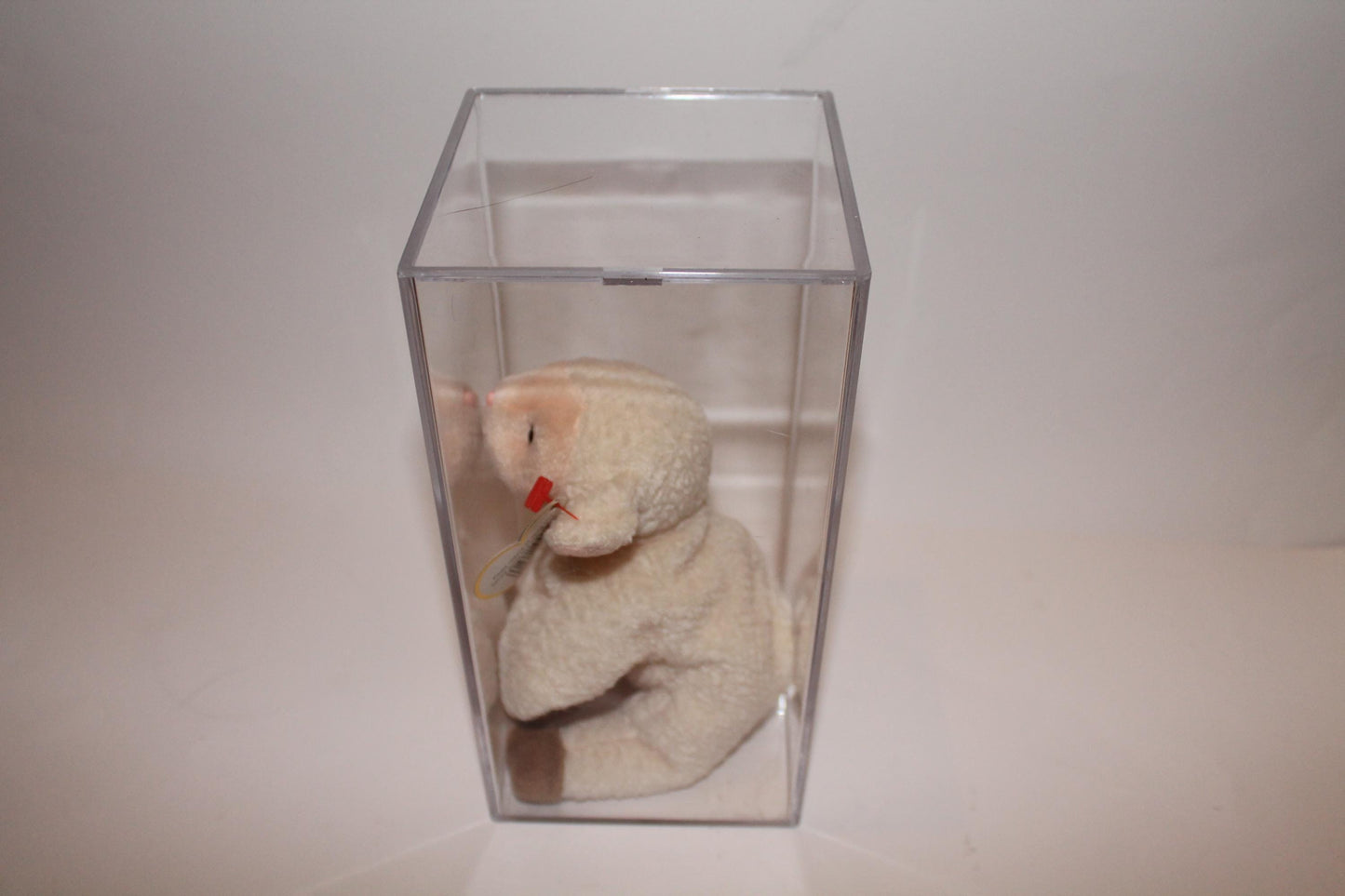 Ty Ewey™ Beanie baby in storage box