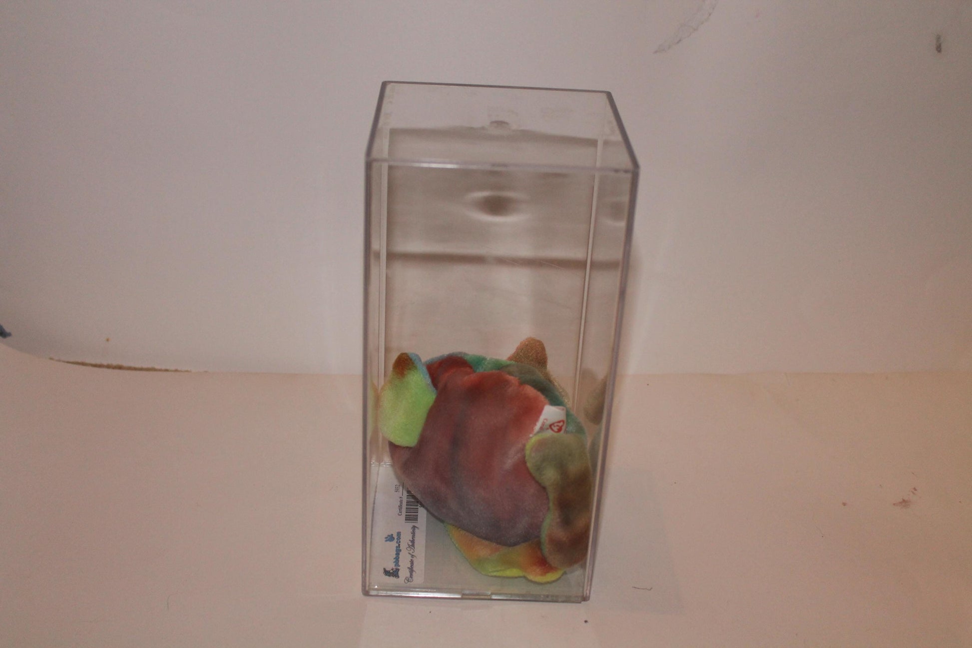 Ty Coral Beanie baby in storage box