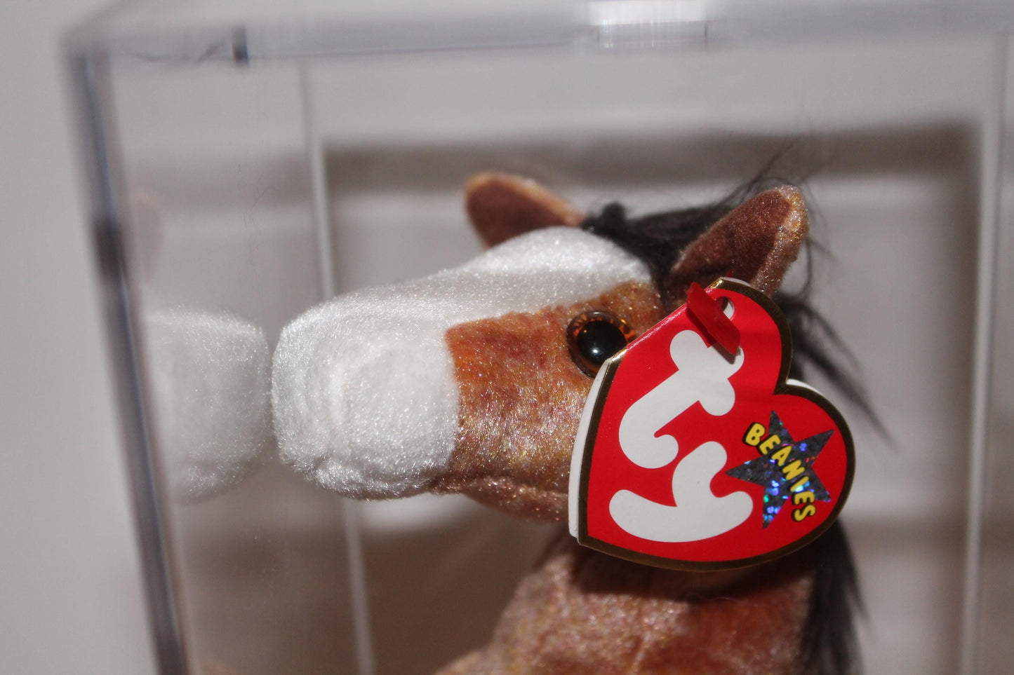 Ty Oats™ Beanie baby in storage box