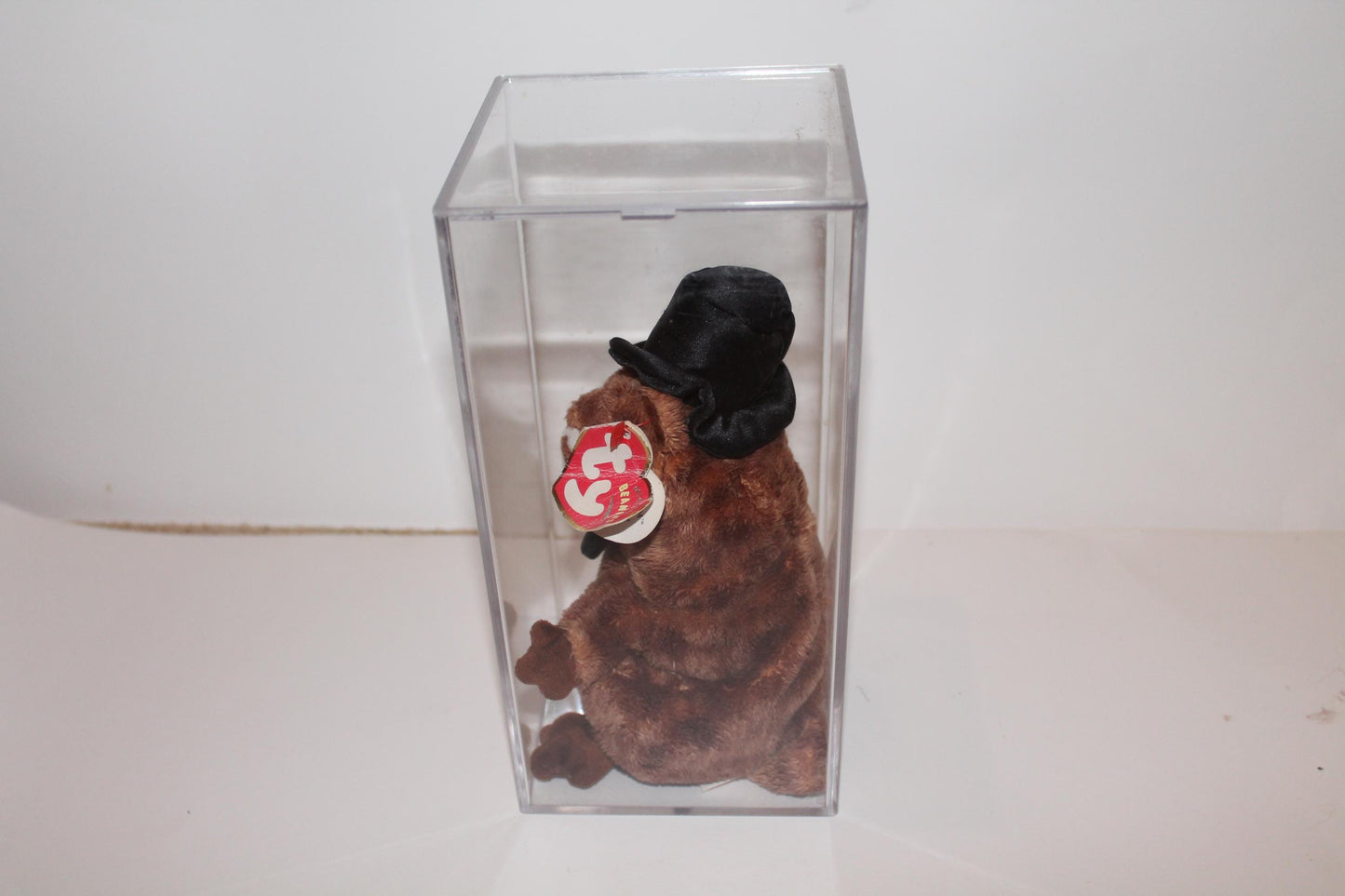 Ty Punxsutawney Phil 2004™ Beanie baby in storage box