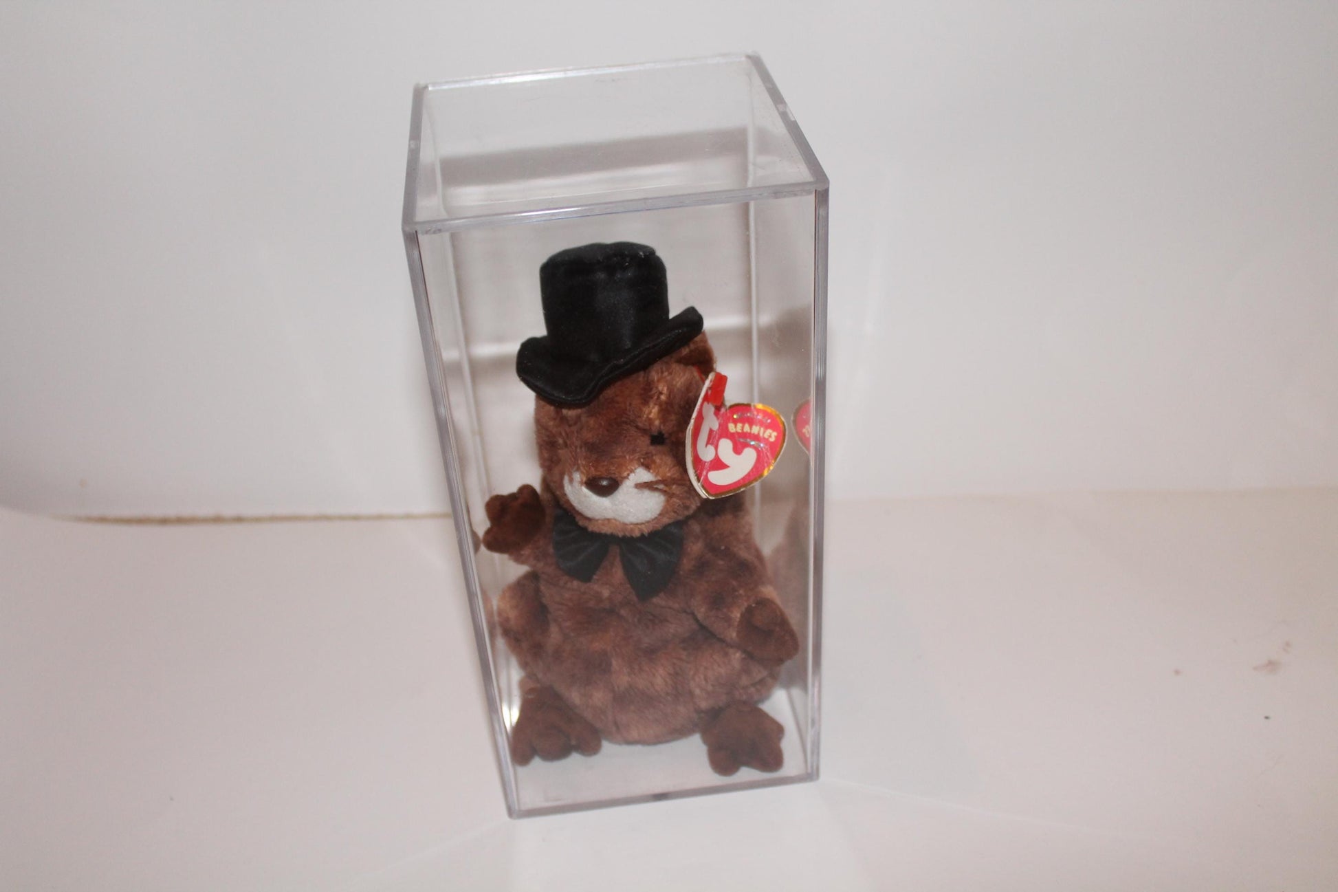 Ty Punxsutawney Phil 2004™ Beanie baby in storage box