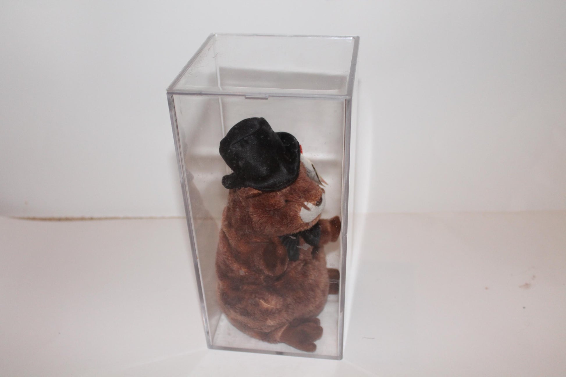 Ty Punxsutawney Phil 2004™ Beanie baby in storage box