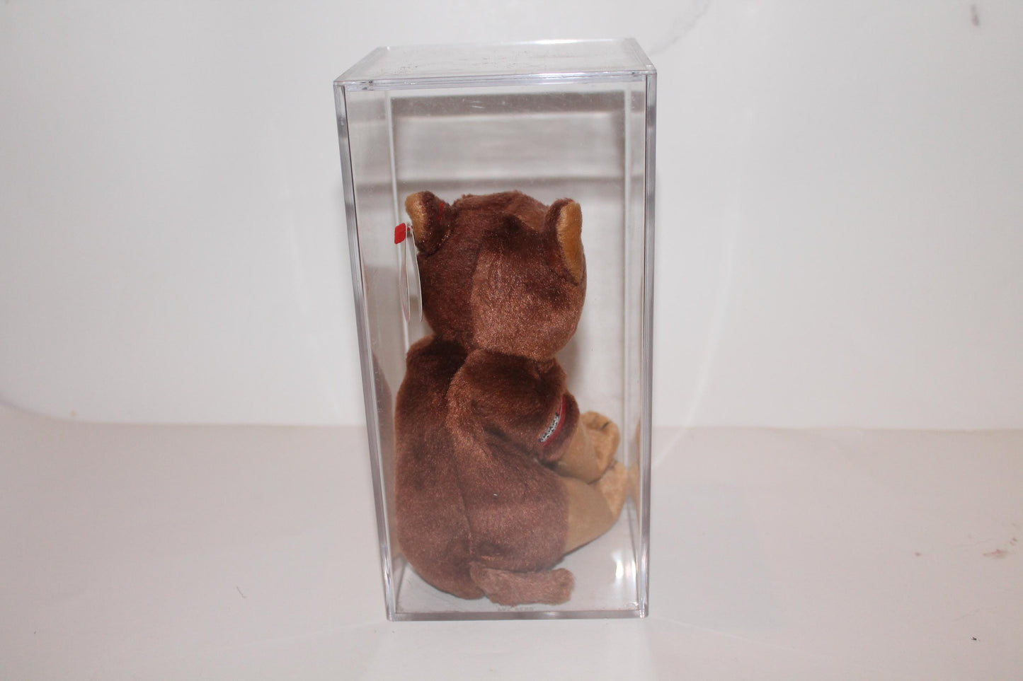 Ty Courage™ Beanie baby in storage box