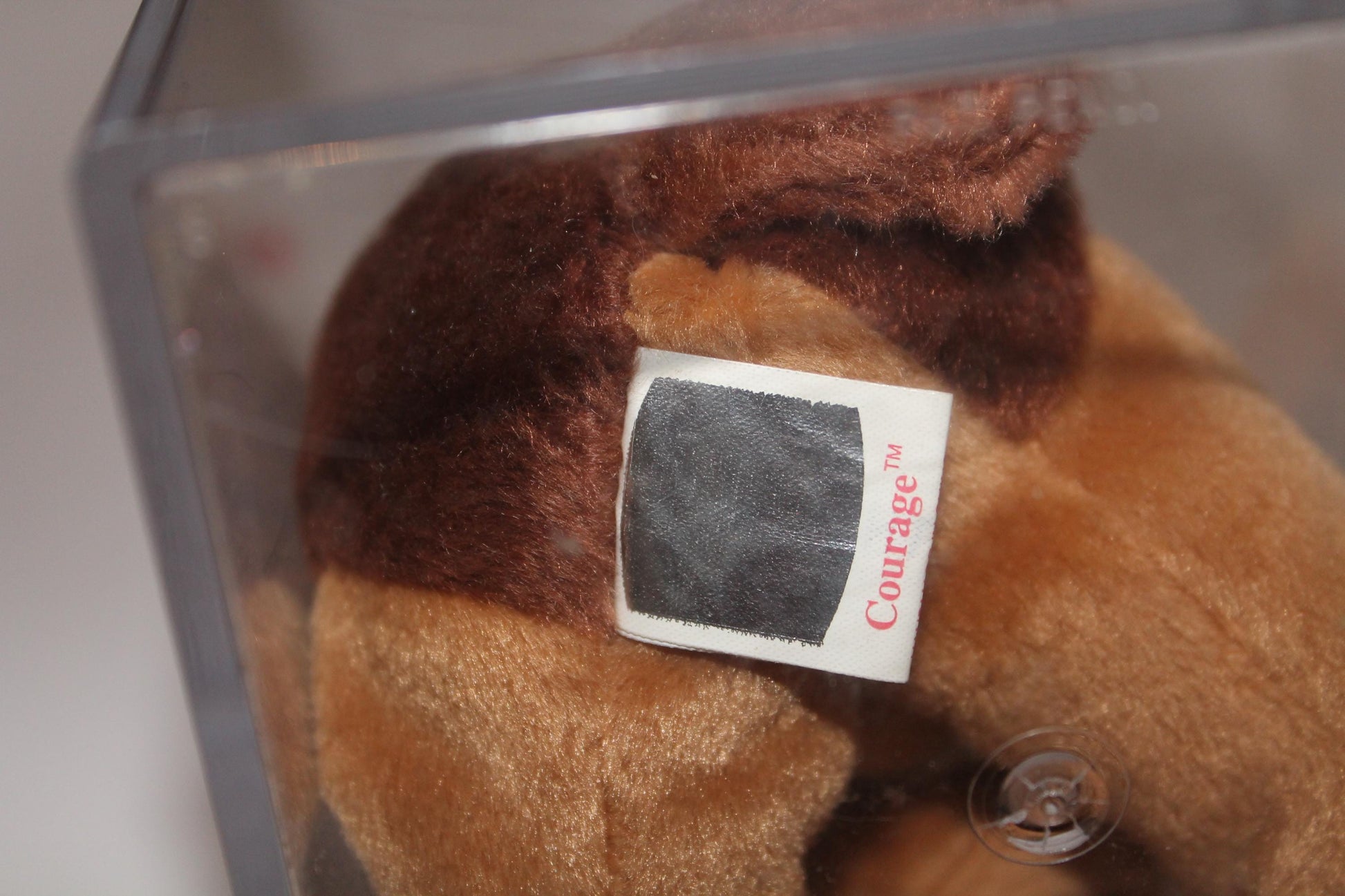 Ty Courage™ Beanie baby in storage box