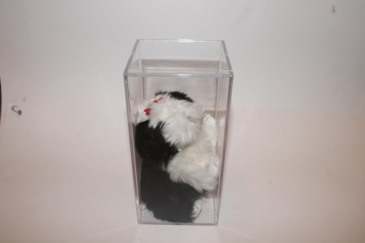 Ty Poofie™ Beanie baby in storage box