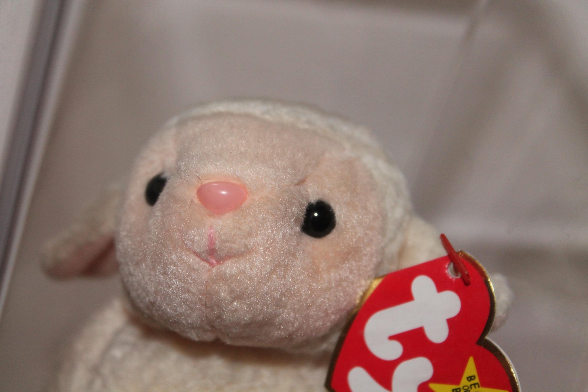 Ty Ewey™ Beanie baby in storage box