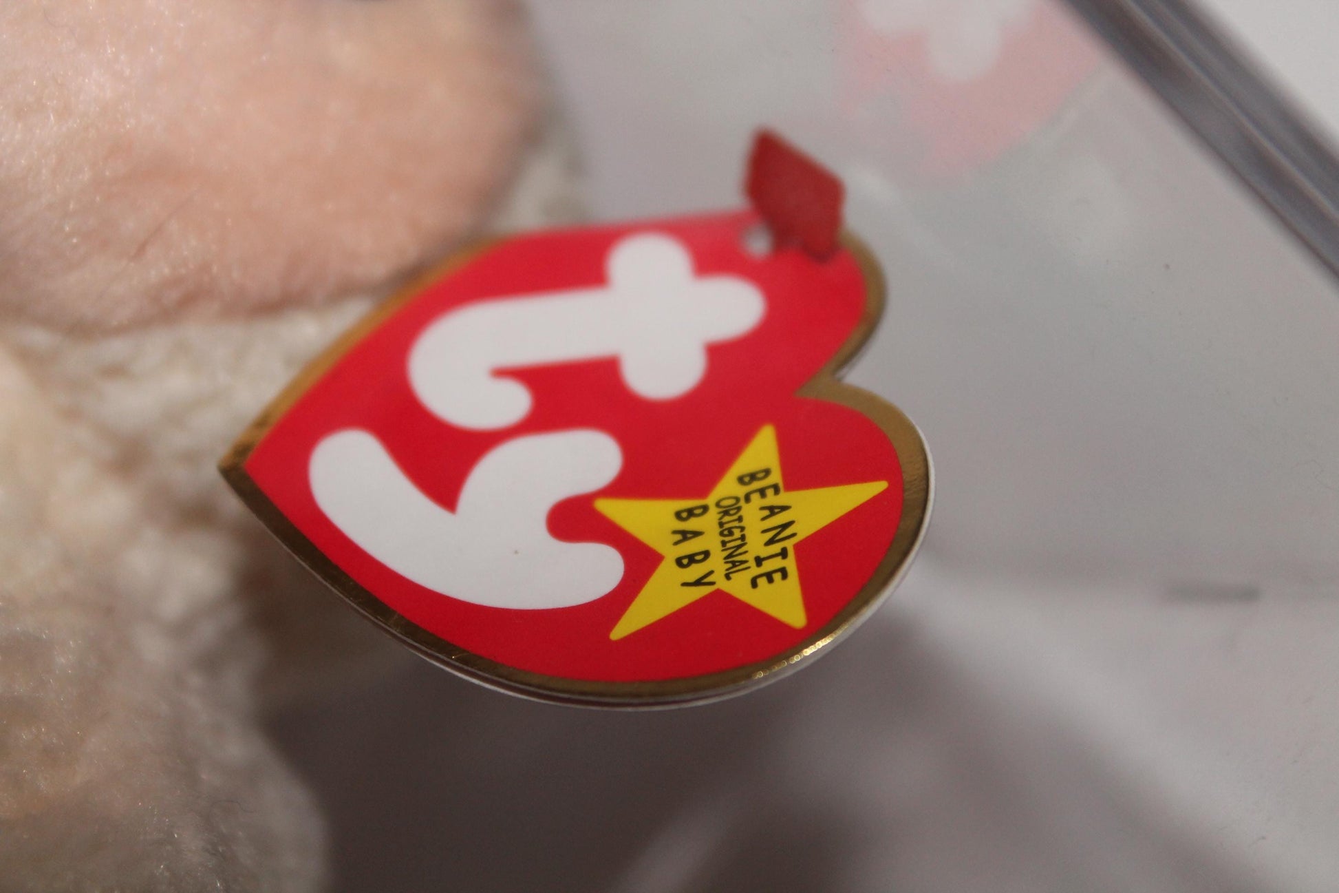 Ty Ewey™ Beanie baby in storage box