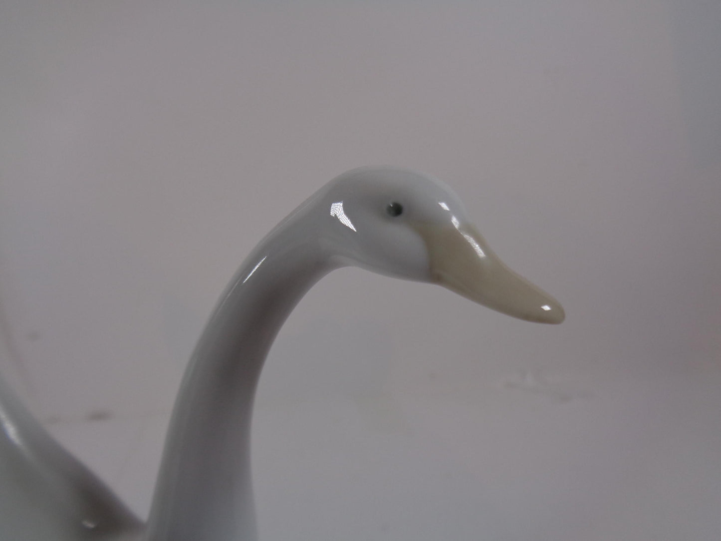 NAO by Lladro Flying Swan or is he a duck?