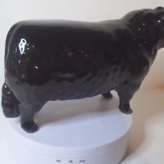 Beswick Aberdeen Angus Bull No1562