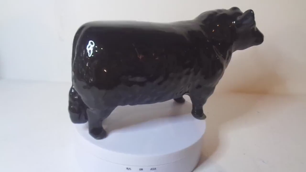 Beswick Aberdeen Angus Bull No1562